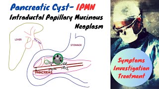 Pancreas Histology [upl. by Henden]