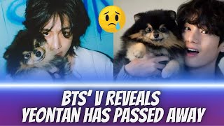 BTS Vs Beloved Dog Yeontan Passes Away [upl. by Wyn]