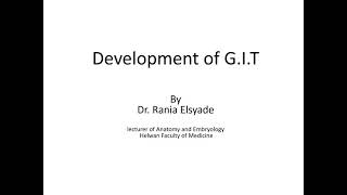 Development of midgut and hindgut [upl. by Athalla616]