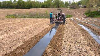 How We Plant Many of Our Early Tomatoes [upl. by Waechter]