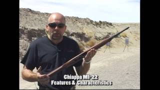 Chiappa M122 rifle overview [upl. by Anyek]