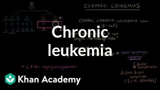 Chronic leukemia  Hematologic System Diseases  NCLEXRN  Khan Academy [upl. by Irtemed]