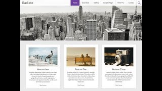WordPressワードプレス無料テーマ Radiate インストールと設定・使い方 [upl. by Nyvek]