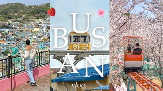 busan in 4 days 🍓 [upl. by Nilahs]