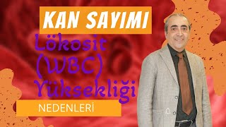 Lökosit WBC Yüksekliği Nedenleri Nelerdir [upl. by Suk912]