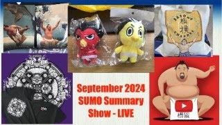 September 2024  Day 8  SUMO Summary Show  LIVE [upl. by Akinat]