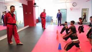 Sports Silat Academy Corporate Video [upl. by Begga913]