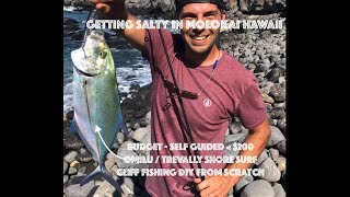 Fishing Molokai Hawaii  DIY BUDGET Self Guide Shore Fishing for Omilu Trevally Needlefish Moi [upl. by Lister]