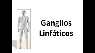 Ganglios linfáticos  Fisioterapia [upl. by Enelyt]