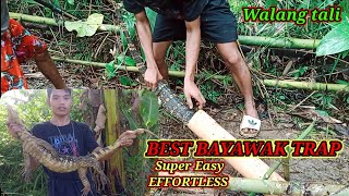 How to Make Super Easy and Effortless Bayawak Trap  Effective Bayawak Trap  Sobrang Laki Ng Nahuli [upl. by Roze671]