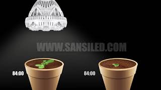 36W SANSI LED Plant Grow Light Experiment [upl. by Brenna]