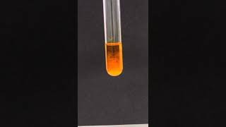 Testing for Aldehydes amp Ketones  24DNP [upl. by Eelegna]