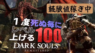 【レベル216～】レベル300まで経験値集めまくる【DARK SOULS REMASTERED】 [upl. by Strong]