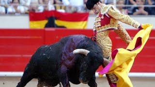 Best Bull Fight technique full bullfighting in Spain very dangerous [upl. by Rebmik157]