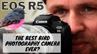 EOS R5  The BEST Bird Photography Camera EVER [upl. by Ashly649]