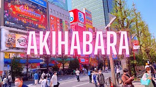 5 THINGS TO DO in AKIHABARA Tokyo Japan [upl. by Erma]