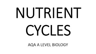 NUTRIENT CYCLES  AQA A LEVEL BIOLOGY  EXAM QUESTIONS RUN THROUGH [upl. by Jelks]