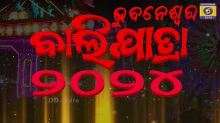 BHUBANESWAR BALIYATRA 2024  ଭୁବନେଶ୍ବର ବାଲିଯାତ୍ରା 2024 [upl. by Nelak615]