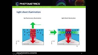 Introduction to Light Sheet Microscopy [upl. by Erena]