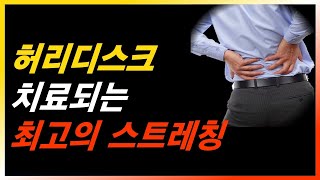 허리 디스크 통증 아주 쉽게 치료되는 스트레칭 운동 소름돋는 결과 보장 [upl. by Ocana]