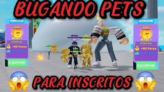 AJUDANDO INSCRITOS DO CANAL PT 5 ROBLOX MUSCLE LEGENDS MuscleMuscleLegendspets bugadosscript [upl. by Aerdnna]