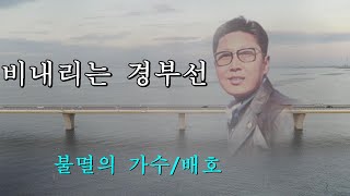 비내리는 경부선  배호 [upl. by Haggi]