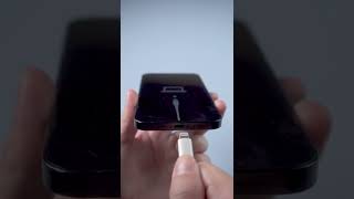 How to Restore iPhone shorts [upl. by Alsi]