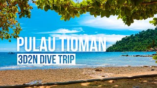 PULAU TIOMAN DIVE TRIP  3 Days 2 Nights Travel Vlog  Travel Malaysia [upl. by Ailahs]