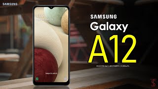 Samsung Galaxy A12 Price Official Look Camera Design Specifications 6GB RAM Features [upl. by Mcnair]