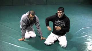 UFC 140 Frank Mir Breaks Nogueiras Arm Gracie Breakdown [upl. by Nilde]