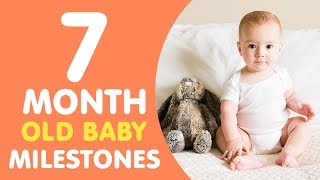 7 Months Old Baby Milestones [upl. by Anaid]