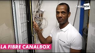 Comment ça fonctionne  la fibre aux Antilles [upl. by Eimmak557]