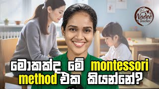 What is Montessori Education  The Montessori Method [upl. by Ltihcox]