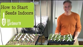 How I Start Seeds Indoors Tips amp Techniques [upl. by Taimi]