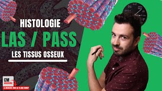 Le TISSU OSSEUX  🦴 Ostéoblastes Ostéoclastes remodelage osseux Rien de bien compliqué [upl. by Bevan]