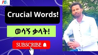 English  Amharic Lesson 04 Vocabulary [upl. by Korman]