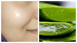 Preserve Aloe Vera Gel At Home [upl. by Ettedanreb]