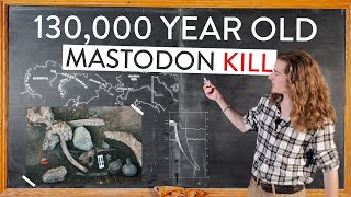 Were Homo Sapiens the First Hominid in North America A Deep Dive into the Cerutti Mastodon Site [upl. by Hama345]