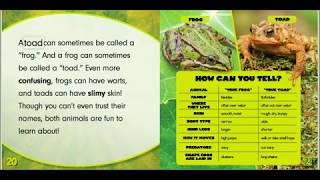 Frog or Toad Nonfiction Read Aloud [upl. by Greenwald]