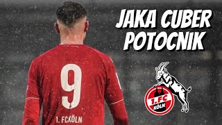 Jaka Cuber Potocnik • 1 FC Köln • Highlights Video Goals Assists Skills [upl. by Ecydnak]