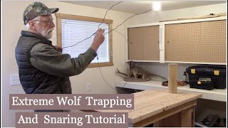 Wolf Trapping And Snaring Tips In Idaho [upl. by Ahsienar44]