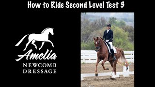 Second Level Test 3 USDF [upl. by Georgianna]