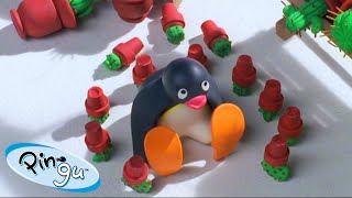 Mischievous Pingu  Pingu  Official Channel  Cartoons For Kids [upl. by Willmert]