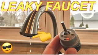 HOW TO FIX A LEAKY DELTA FAUCET  Replacing a Valve Cartridge on a Single Handle Delta Faucet Easy [upl. by Leihcey]