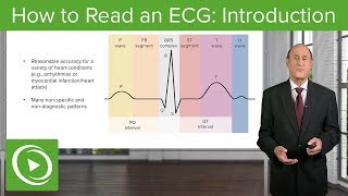 EKG Basics  How to Read amp Interpret EKGs Updated Lecture [upl. by Adey]