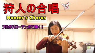 狩人の合唱 バイオリン Hunters Chorus [upl. by Eyde601]