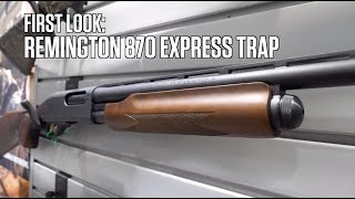 First Look Remington 870 Express Trap [upl. by Arem]