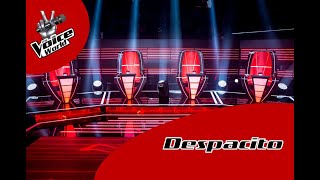 Despacito  The Voice [upl. by Ytirehc]