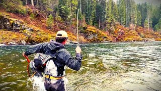 Why Some Say quotBest in the Worldquot  3DAY Fly Fishing Trip to Northern Idaho [upl. by Euqinemod]