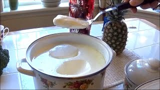 The Best Yogurt Recipe making any amount of Your Favorite Yogurt in 12 Hours  Homemade Yogurt  DIY [upl. by Ev]